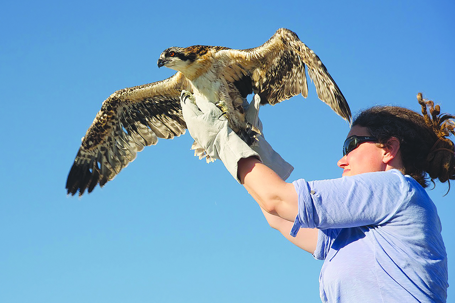 Profile Jenny Zahler, ACO